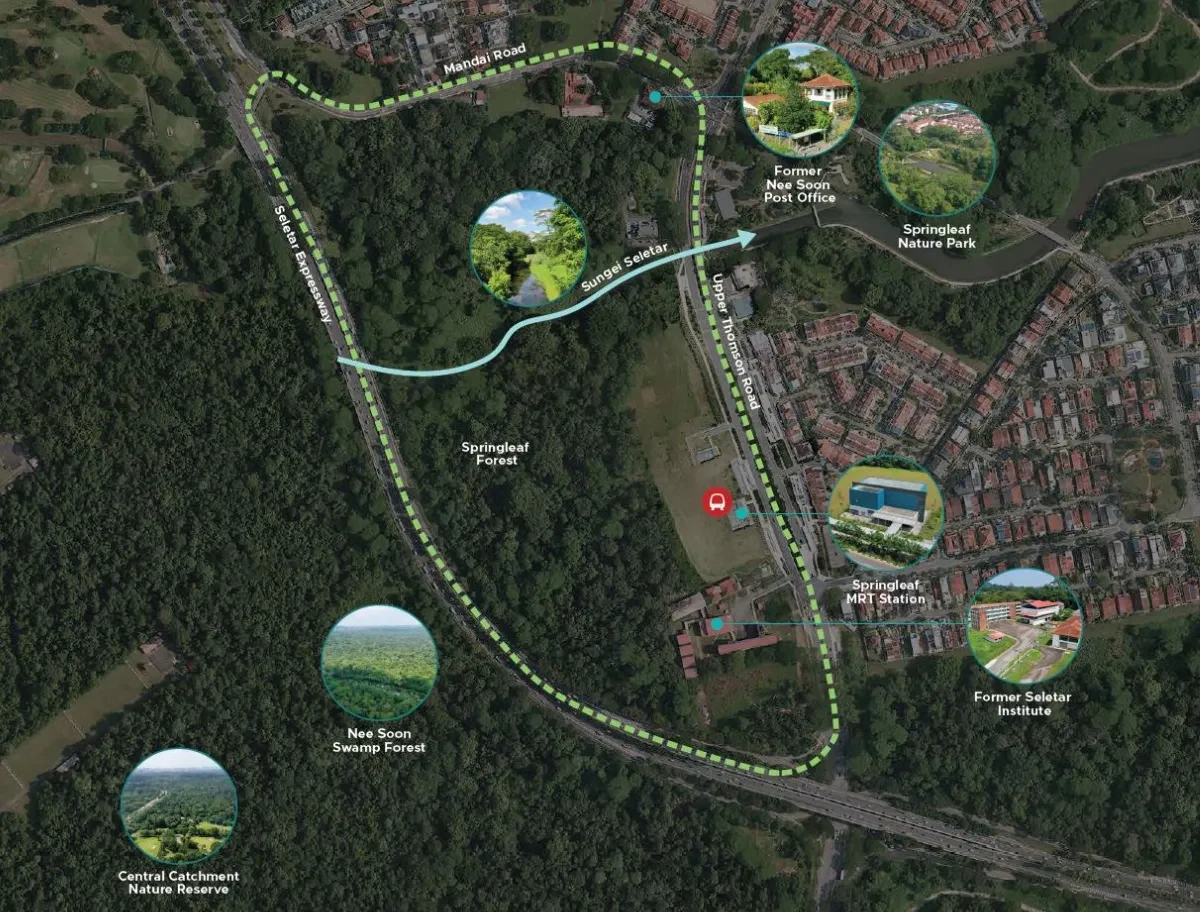 Aerial map of the Springleaf precinct showing Upper Thomson Road, Springleaf MRT station, the Seletar Expressway, Sungei Seletar, Springleaf Nature Park, Nee Soon Swamp Forest and the Central Catchment Nature Reserve
